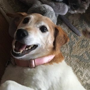 Meet your Posher, Emily